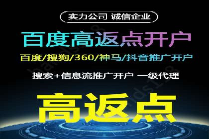 SEM竞价广告的智能优化：成功案例解读